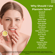 Load image into Gallery viewer, HEAL 99¢ Samples