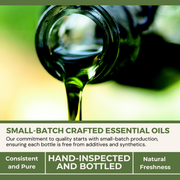 Load image into Gallery viewer, healthyenergyamazinglife H.E.A.L.'s Essential Oils H.E.A.L.'s  Essential Oils - Cinnamon