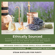 Load image into Gallery viewer, healthyenergyamazinglife H.E.A.L.'s Essential Oils H.E.A.L.'s Essential Oils - Cinnamon