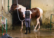 Load image into Gallery viewer, healthyenergyamazinglife Natural Health Products Magnesium Chloride Flakes - For Horses