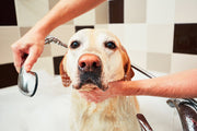 Load image into Gallery viewer, Magnesium Chloride Flakes - For Pets