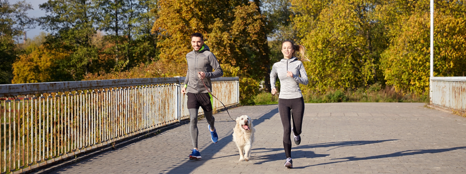 How to Work Out with Your Dog This Fall