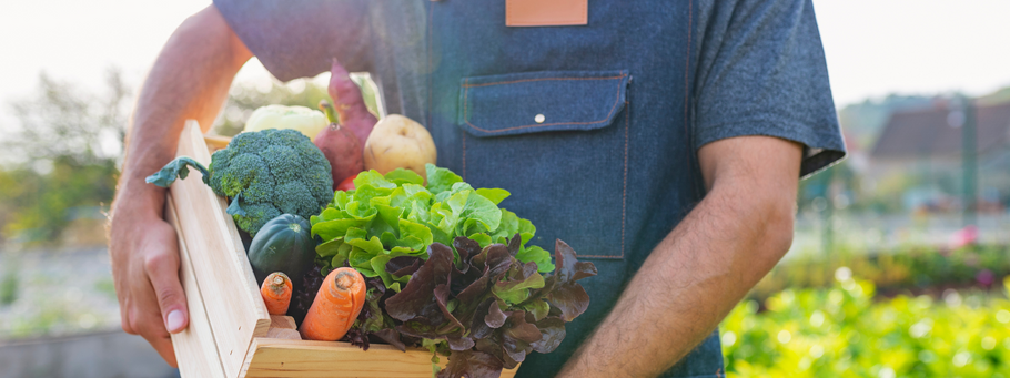 6 Reasons to Switch to Organic Food