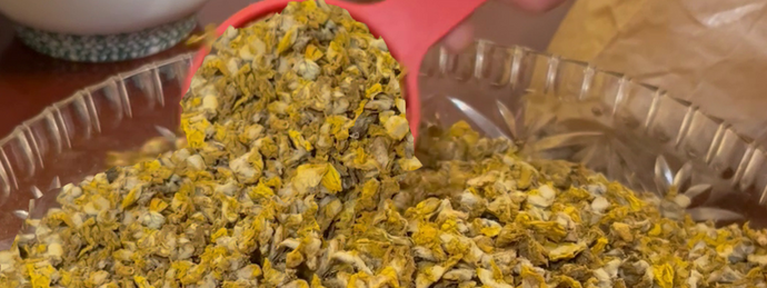 Behind the Bottle: How Our Mullein Ear Oil Is Made