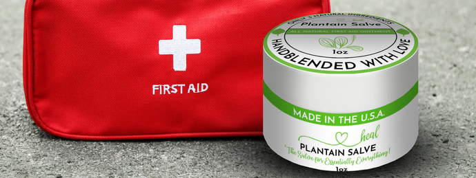 The Power of Plantain: Why This Traditional Herb Belongs in Your Fall First Aid Kit