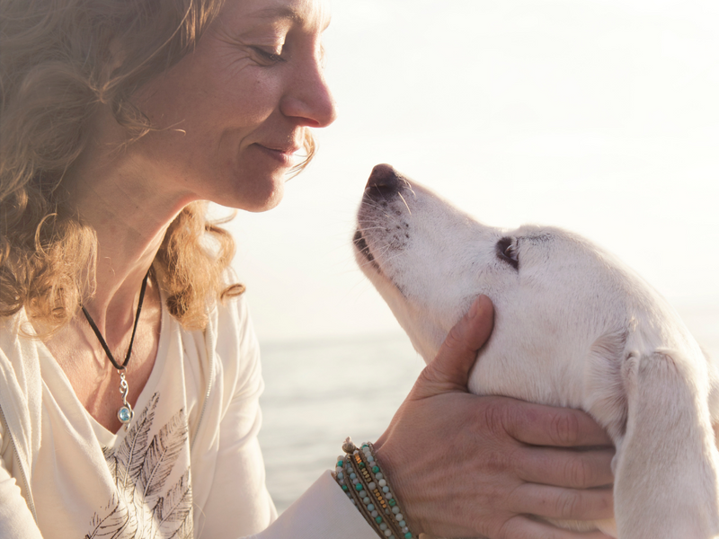 Natural Ways to Keep Our Furry Friends Healthy