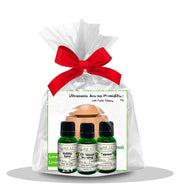 Load image into Gallery viewer, HEAL H.E.A.L.&#39;s Essential Oils Seasonal Scents Gift Set
