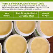 Load image into Gallery viewer, healthyenergyamazinglife Natural Health Products H.E.A.L.&#39;s Plantain Salves
