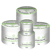 Load image into Gallery viewer, healthyenergyamazinglife Natural Health Products H.E.A.L.&#39;s Plantain Salves

