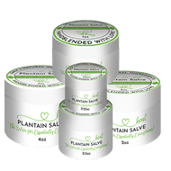 healthyenergyamazinglife Natural Health Products H.E.A.L.'s Plantain Salves