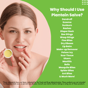 Load image into Gallery viewer, healthyenergyamazinglife Natural Health Products Harmony&#39;s Plantain Salves
